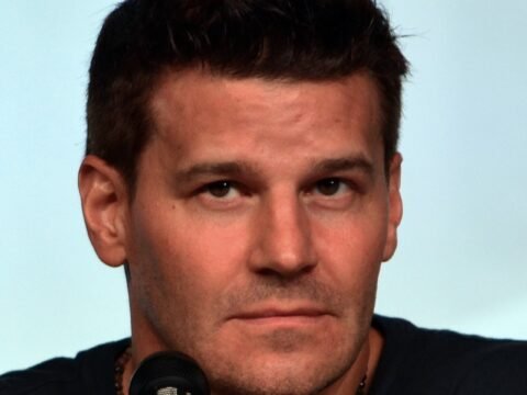 David Boreanaz